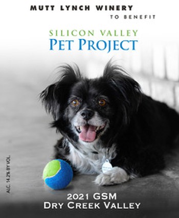 2021 Silicon Valley Pet Project